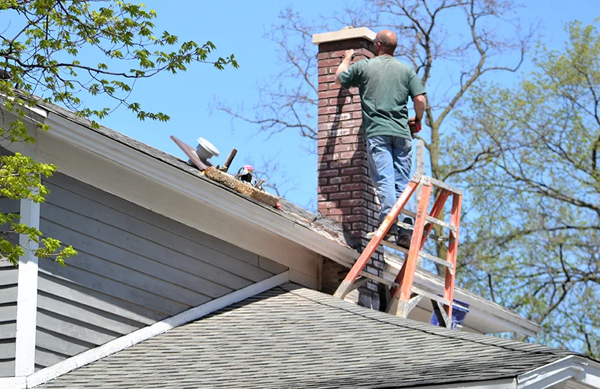 Chimney & Fireplace Inspections Services in Coppell, TX